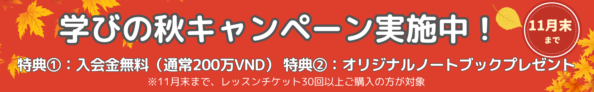 キャンペーンバナー